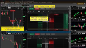 Thinkorswim Options Trading Tutorial